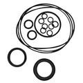 Bailey SEAL KIT for Chief BMRS Hydraulic Motors - 2-Bolt:  CID, Ports, PSI, RPM, Torque 221652